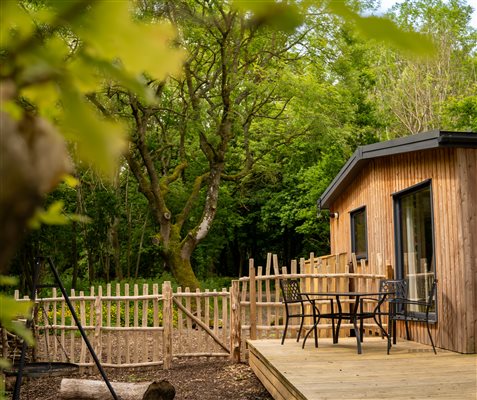 Ash lodge